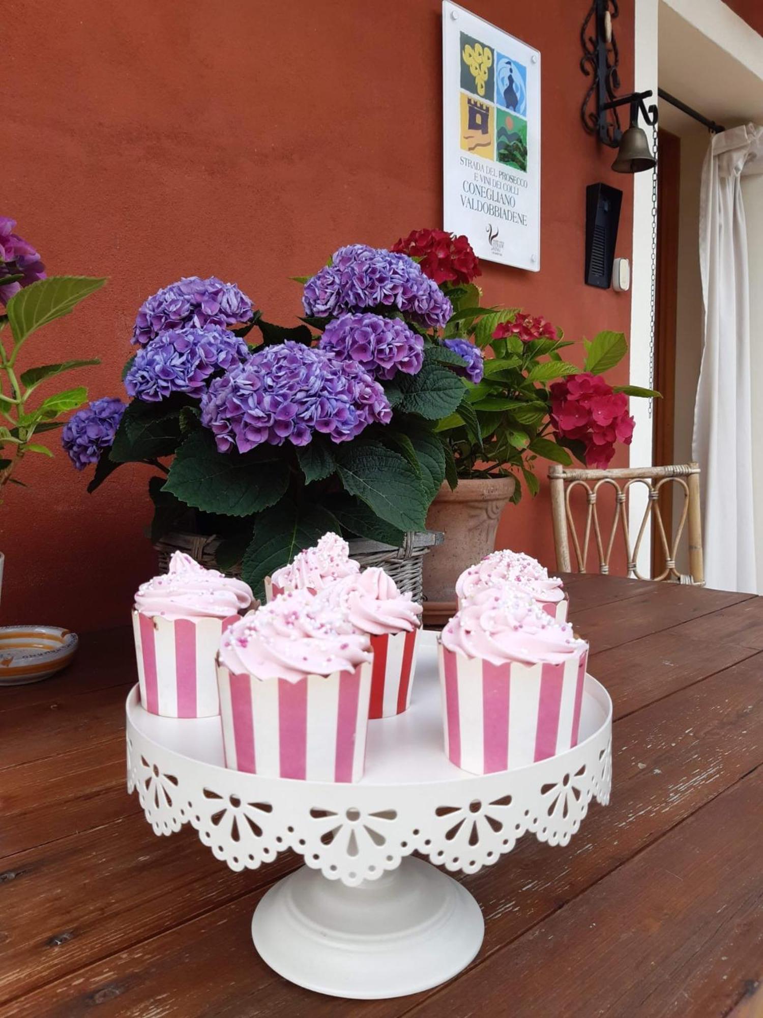 B&B Casa Del Conte Soligo Экстерьер фото